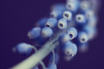 免费看黄网站 免费看黄网站