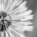 黑料论坛 a4lhxxo